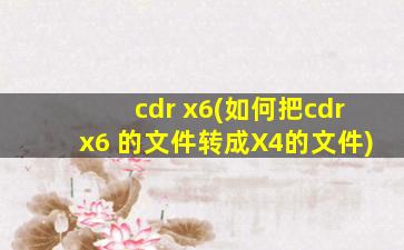 cdr x6(如何把cdrx6 的文件转成X4的文件)